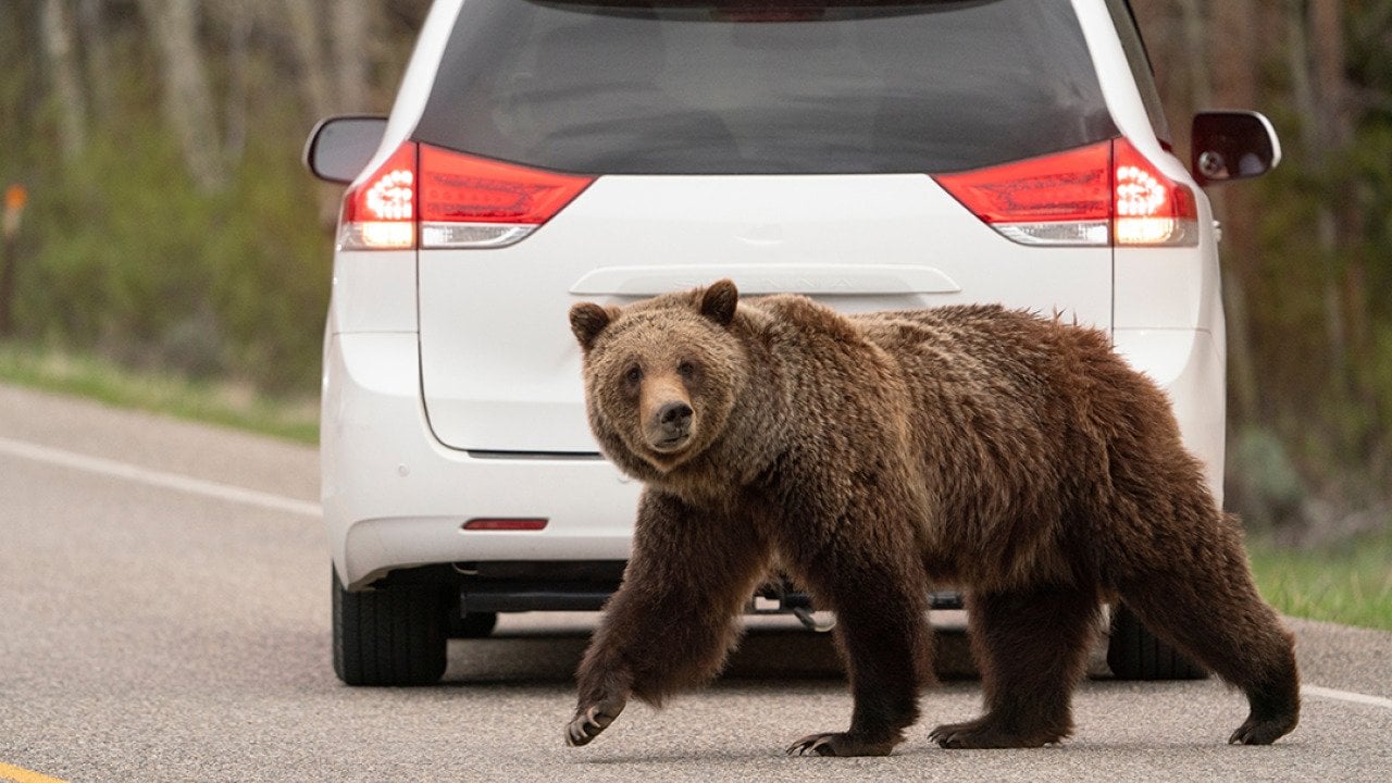 9 everyday things tourists do that are accidents waiting to happen